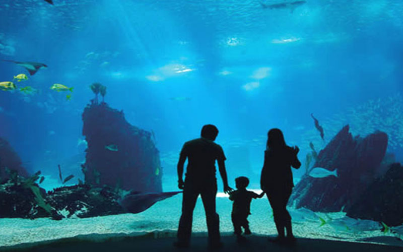Turkuazoo Istanbul Aquarium