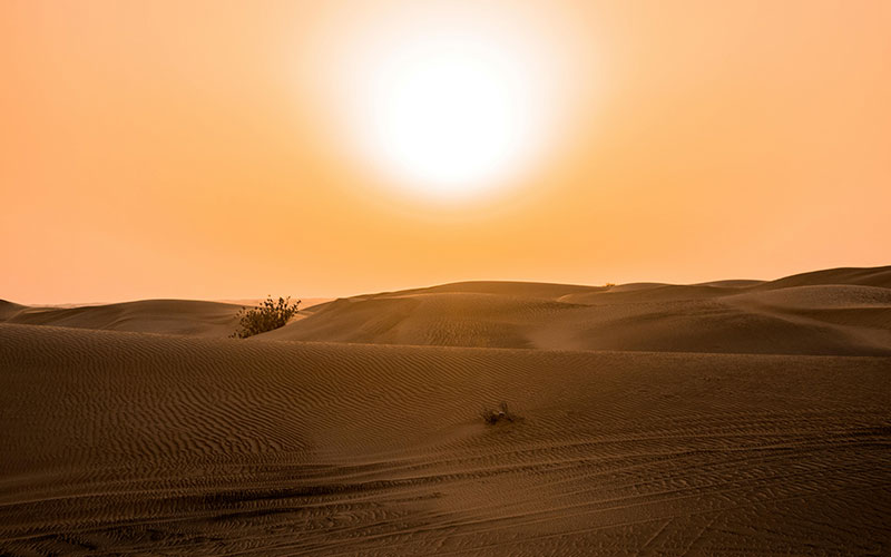 Dubai Desert